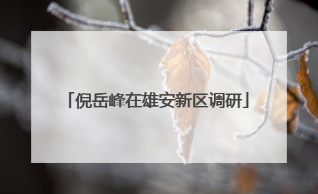 倪岳峰在雄安新区调研