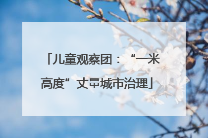 儿童观察团：“一米高度”丈量城市治理