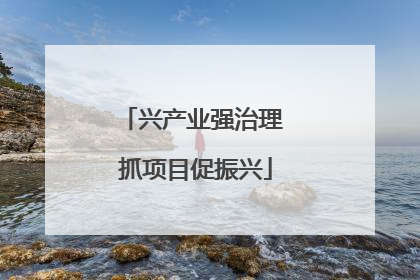 兴产业强治理 抓项目促振兴