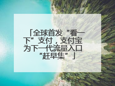 全球首发“看一下”支付，支付宝为下一代流量入口“赶早集”