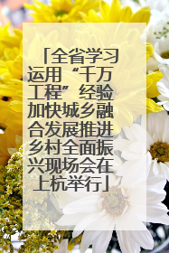 全省学习运用“千万工程”经验加快城乡融合发展推进乡村全面振兴现场会在上杭举行