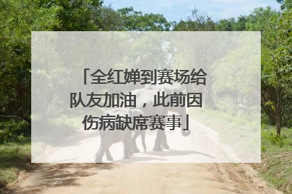 全红婵到赛场给队友加油，此前因伤病缺席赛事