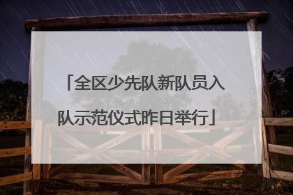 全区少先队新队员入队示范仪式昨日举行