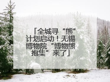 全城寻“熊”计划启动！无锡博物院“博物熊抱集”来了