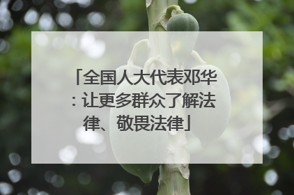 全国人大代表邓华：让更多群众了解法律、敬畏法律