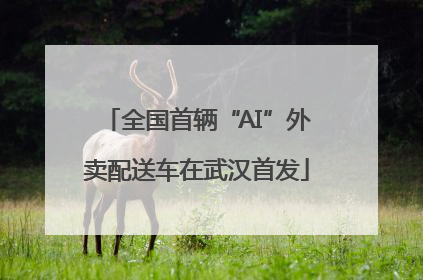 全国首辆“AI”外卖配送车在武汉首发