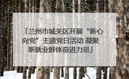 兰州市城关区开展“新心向党”主题党日活动 凝聚新就业群体奋进力量