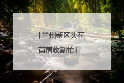 兰州新区头茬苜蓿收割忙