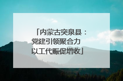 内蒙古突泉县：党建引领聚合力 以工代赈促增收