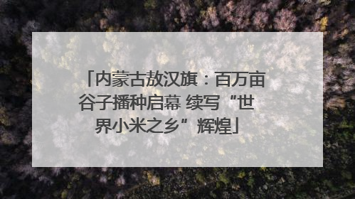 内蒙古敖汉旗：百万亩谷子播种启幕 续写“世界小米之乡”辉煌