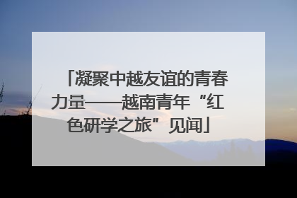 凝聚中越友谊的青春力量——越南青年“红色研学之旅”见闻
