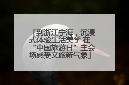 到浙江宁海，沉浸式体验生活美学 在“中国旅游日”主会场感受文旅新气象
