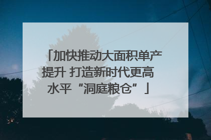 加快推动大面积单产提升 打造新时代更高水平“洞庭粮仓”