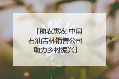 助农惠农 中国石油吉林销售公司助力乡村振兴