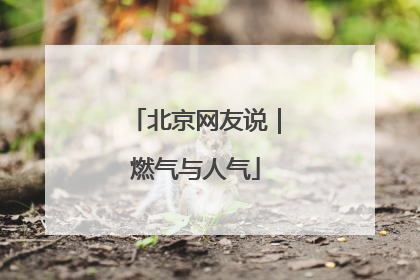 北京网友说｜燃气与人气