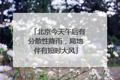 北京今天午后有分散性降雨，局地伴有短时大风