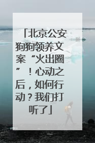 北京公安狗狗领养文案“火出圈”！心动之后，如何行动？我们打听了