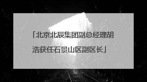 北京北辰集团副总经理胡浩获任石景山区副区长