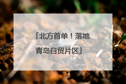 北方首单！落地青岛自贸片区