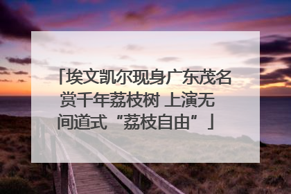 埃文凯尔现身广东茂名 赏千年荔枝树 上演无间道式“荔枝自由”