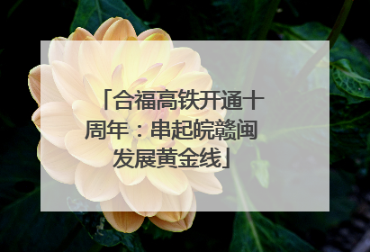 合福高铁开通十周年：串起皖赣闽发展黄金线