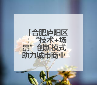 合肥庐阳区：“技术+场景”创新模式助力城市商业再升级