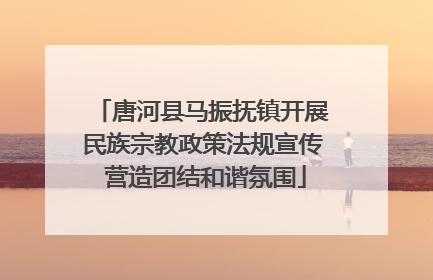 唐河县马振抚镇开展民族宗教政策法规宣传 营造团结和谐氛围