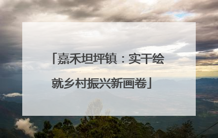 嘉禾坦坪镇：实干绘就乡村振兴新画卷
