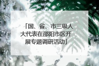 国、省、市三级人大代表在邵阳市区开展专题调研活动