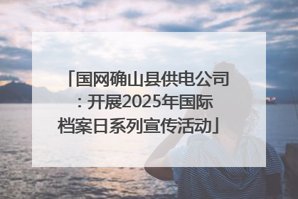 国网确山县供电公司：开展2025年国际档案日系列宣传活动