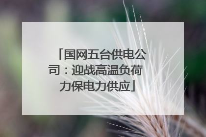 国网五台供电公司：迎战高温负荷 力保电力供应
