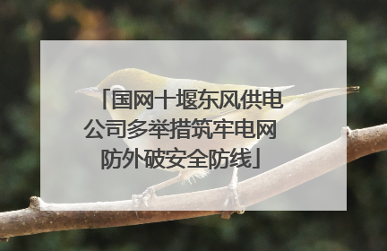 国网十堰东风供电公司多举措筑牢电网防外破安全防线