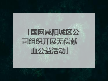 国网咸阳城区公司组织开展无偿献血公益活动