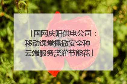 国网庆阳供电公司：移动课堂播撒安全种 云端服务浇灌节能花