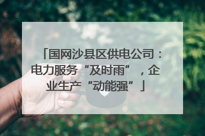 国网沙县区供电公司：电力服务“及时雨”，企业生产“动能强”