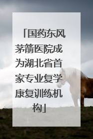 国药东风茅箭医院成为湖北省首家专业复学康复训练机构