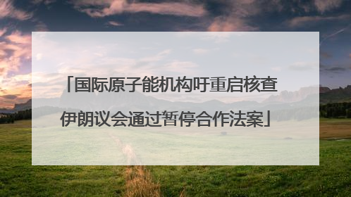 国际原子能机构吁重启核查 伊朗议会通过暂停合作法案