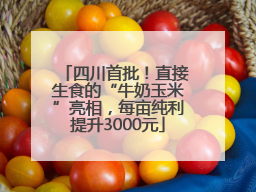 四川首批！直接生食的“牛奶玉米”亮相，每亩纯利提升3000元