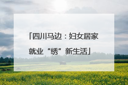 四川马边：妇女居家就业“绣”新生活