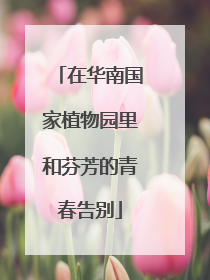 在华南国家植物园里和芬芳的青春告别