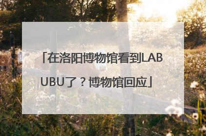 在洛阳博物馆看到LABUBU了？博物馆回应
