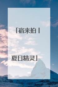 宿来拍丨夏日精灵