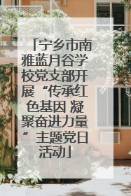 宁乡市南雅蓝月谷学校党支部开展“传承红色基因 凝聚奋进力量”主题党日活动