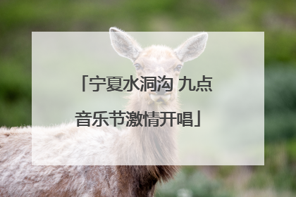宁夏水洞沟 九点音乐节激情开唱
