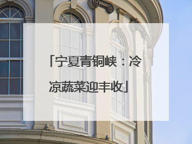 宁夏青铜峡：冷凉蔬菜迎丰收