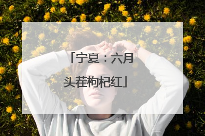 宁夏：六月头茬枸杞红