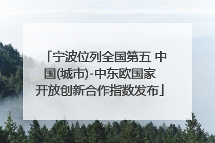 宁波位列全国第五 中国(城市)-中东欧国家开放创新合作指数发布