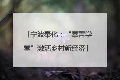 宁波奉化：“奉菁学堂”激活乡村新经济