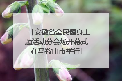 安徽省全民健身主题活动分会场开幕式在马鞍山市举行