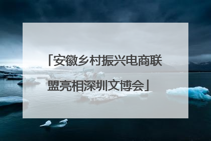 安徽乡村振兴电商联盟亮相深圳文博会
